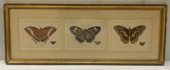 BUTTERFLY, BUTTERFLIES, VINTAGE, ANTIQUE