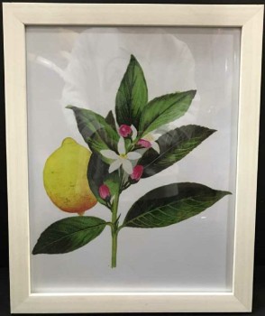 Lemon Tree Painting