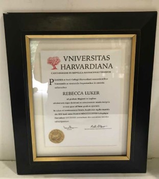 AWARD CERTIFICATE FRAMED WITH GLASS