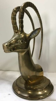 Antelope