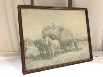 Framed Photo Black/White Horse Carraige Wagon