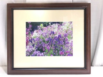 Framed Photo Flower Purple