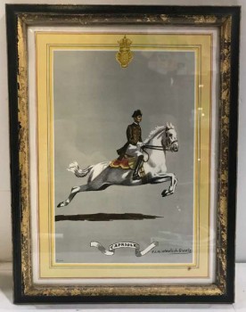 Classical Riding Illustration "Capriole"