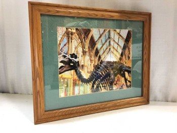 Framed Photo Dinosaur Skeleton Museum