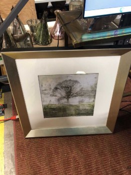 Framed, Matted , Glass, Tree