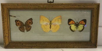 VINTAGE, BUTTERFLY