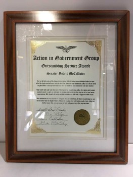 Action In Government Group Outstanding Service Award Framed With Glass
