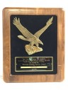 US Military National Defense Service Award Plaque Eagle