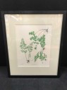 Framed Botanical Fern Art, Cleared Art