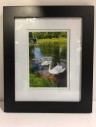 Framed Photo Pond Nature Swans