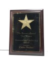 Awards Plaque, Gold Star, Beret Award