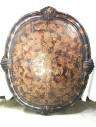 Faux Tortise Shell Shield, Maitland Smith
