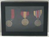 National Defense Military Ribbon Medal Award Wall Display Framed