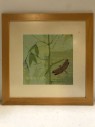 FRAMED ARTWORK, CLEARED, LEAFS, DRAGONFLY, SERENITY