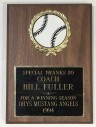 Award Plaque Baseball