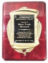 Outstanding Achievement Award Plaque