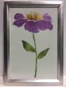 Artwork, Contemporary, Floral, Purple Flower