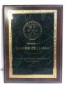 Plaque Award, 12
