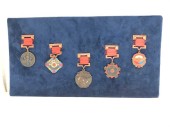Medals Pinned