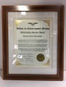 Action In Government Group Outstanding Service Award Framed With Glass